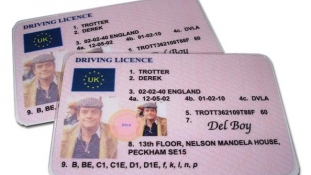 Modelul unic de permis de conducere