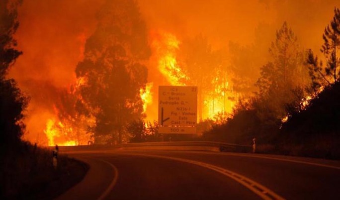 Incendiu devastator in Portugalia