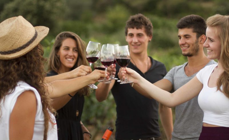 festivalul vinului girona