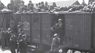 Trenurile Foamei – 1947